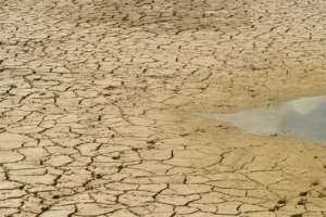 Uma poesia sobre a Seca O Solo desidratado. Consequência da estiagem.