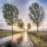 A chuva, as lágrimas (Poema a Mariana) sunset-4802962_1280-300x218