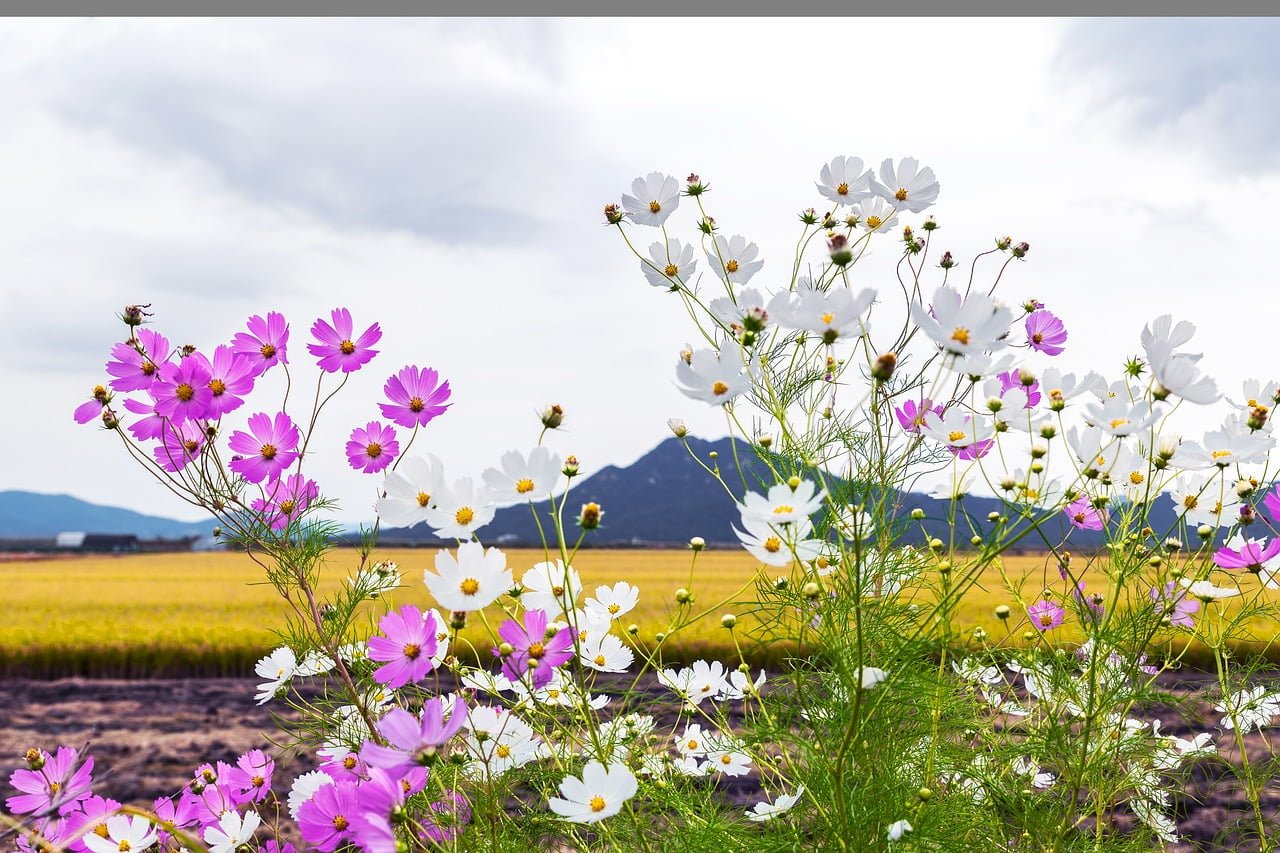 Setembro - História e curiosidades Histórias e curiosidades do mês de Setembro