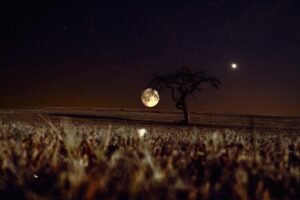 Mas, apenas a lua viu. A lua testemunha.