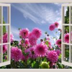 Nina ( Riso de Menina Rosa) a-beautiful-day-174599_1280