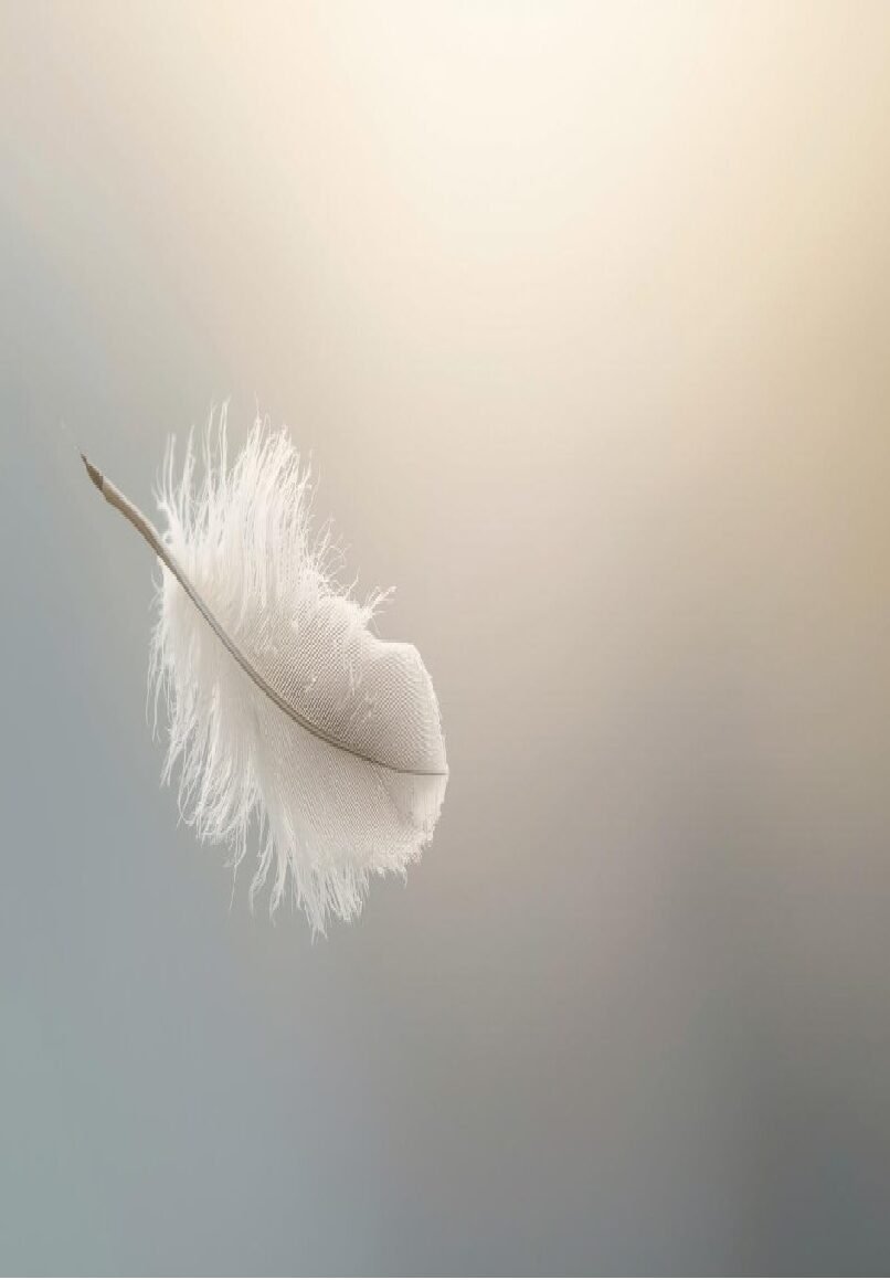 Confuso ( Carta de um detento )