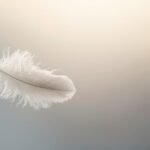 Pensamentos soltos… entre crônicas e versos Uma pena flutuando